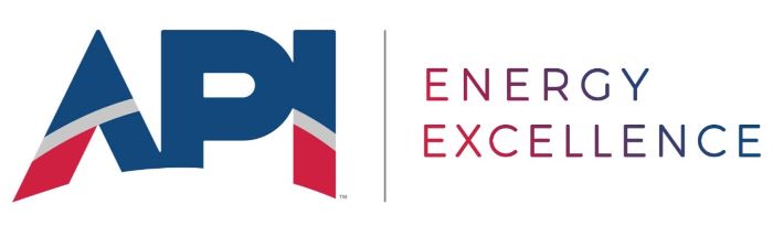 api_energy_excellence_logo